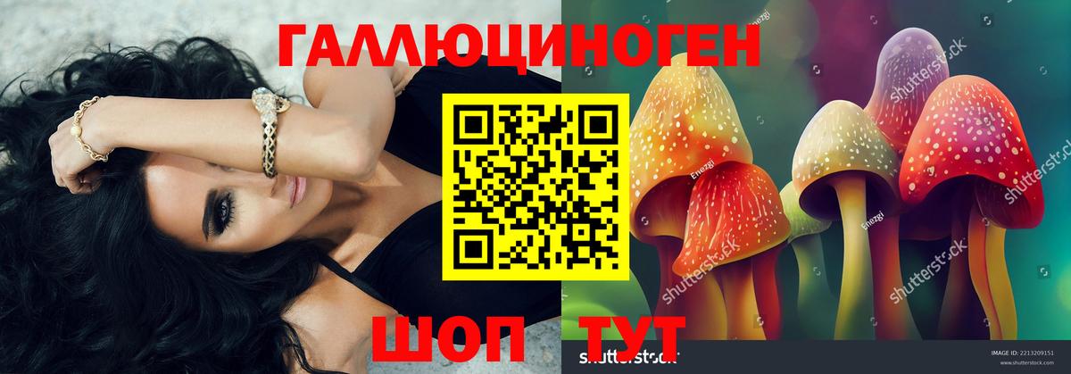 Галлюциногенные грибы Magic Shrooms  наркошоп  Сатка  Вход с VPN  Галлюциногенные грибы Psilocybine cubensis 